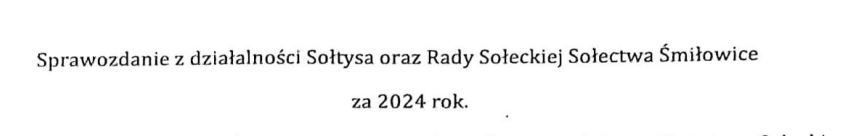 Sprawozdanie sotysa